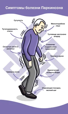 Болезнь Паркинсона - причины появления, симптомы заболевания, диагностика и  способы лечения