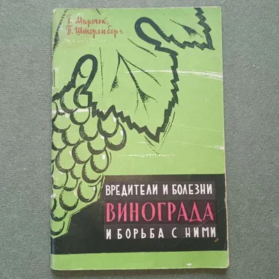 6 самых распространённых болезней и вредителей винограда