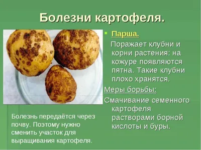Болезни и сорные растения картофеля. Лань 75778479 купить в  интернет-магазине Wildberries