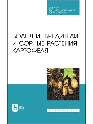 Обычная парша на семенном картофеле. Причины проявления и последствия.