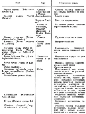 Болезни малины: лечение, профилактика | Аптека Садовода