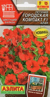 Петуния Городская компакт F1 алая 7шт, семена | Купить в интернет магазине  Аэлита