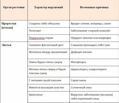 Вредители и болезни винограда и способы их лечения