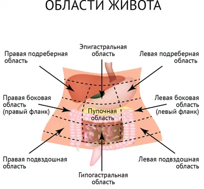 Боли в животе картинки