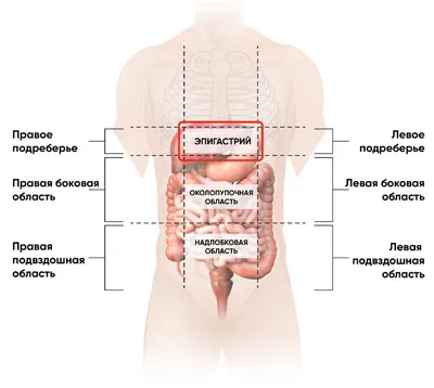 Боль в животе (болит живот): причины, симптомы, последствия, осложнения,  диагностика | Лечение боли в животе в медицинском центре МедЭлит в Москве