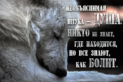 Людмила Терещенко على X: "Когда болит тело - это боль , Когда болит душа -  это мука... /FDnAZ0zRkn" / X