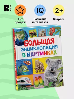 Росмэн Большая энциклопедия современных знаний - Акушерство.Ru