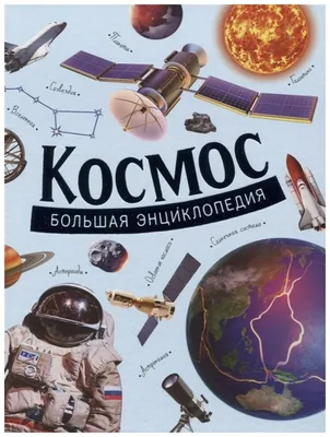 Большая иллюстрированная энциклопедия для детей РОСМЭН 4650531 купить за  818 ₽ в интернет-магазине Wildberries