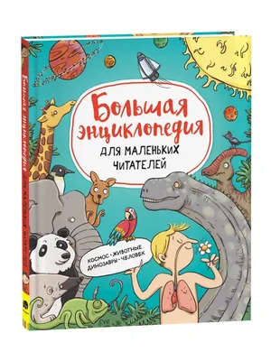 Книга Росмэн книга Большая Детская Энциклопедия Росмэн 1446 - купить  детской энциклопедии в интернет-магазинах, цены на Мегамаркет | 1446