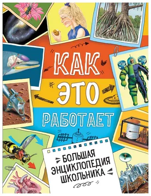 Человек. Большая энциклопедия (Росмэн) | Энциклопедия. . Купить в  Санкт-Петербурге