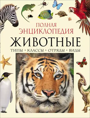 Книга 'Большая энциклопедия в картинках', Росмэн [01695-3]