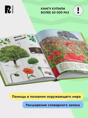 Книга Детская Энциклопедия Росмэн Динозавры - купить детской энциклопедии в  интернет-магазинах, цены на Мегамаркет | 9426