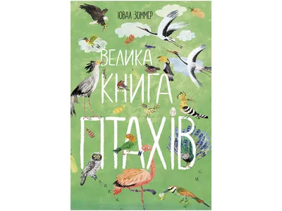 Большая перепись птиц. Кто такие бердвотчеры и как они помогли подсчитать  птичье население Европы