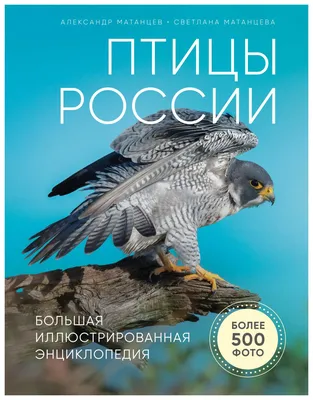 Большая книга птиц - Vilki Books