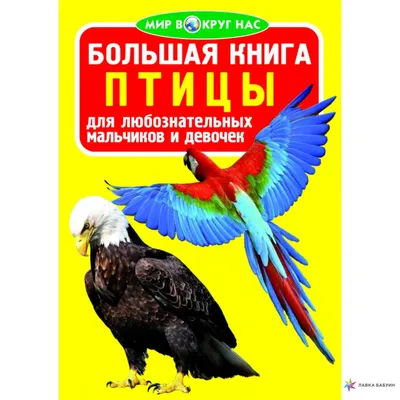 Арт Кормушка® Большая оконная кормушка для птиц на присосках "Веранда"  купить | 