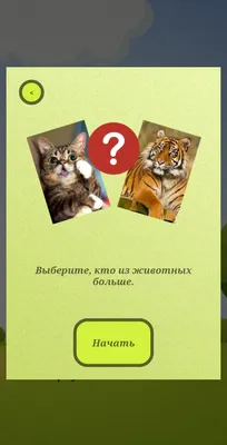 Викторина Зайка – скачать приложение для Android – Каталог RuStore