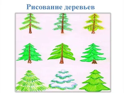 Живая елка 225-250 см - купить с доставкой по Москве недорого, цены, фото,  отзывы