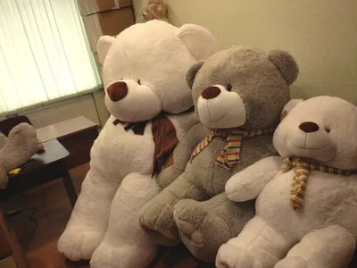 Франшиза Большие плюшевые медведи - продажа игрушек: цены, отзывы и условия  в России, сколько стоит открыть франшизу Большие плюшевые медведи в 2021  году на 