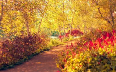 Осень, голубое небо , осенний …» — создано в Шедевруме