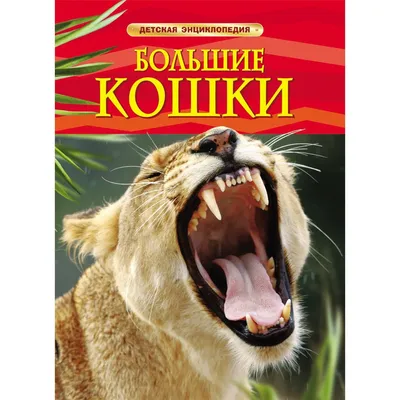 Энциклопедия «Большие кошки. Дикие животные Африки», 48 страниц купить в  Чите Энциклопедии в интернет-магазине Чита.дети (10063127)