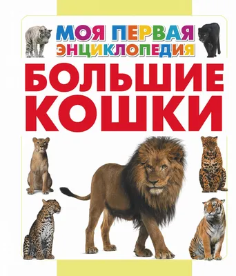 Книга Большие кошки - купить детской энциклопедии в интернет-магазинах,  цены на Мегамаркет | 188240