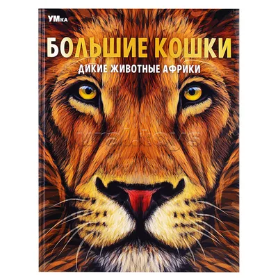 Купить Леопардовые картины, постеры с большими кошками и пирнты, холст с  изображением животных, настенная живопись дикой природы для декора  гостиной, украшения дома | Joom