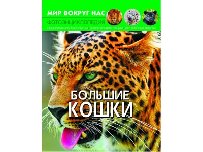 Большие кошки. Детская энциклопедия – купить по лучшей цене на сайте  издательства Росмэн