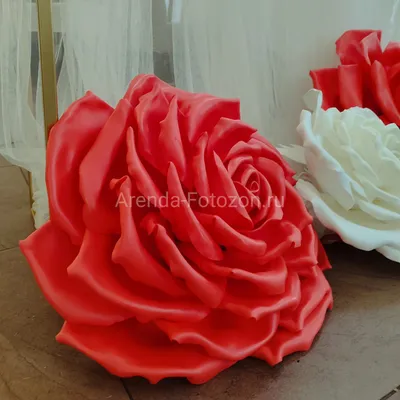 большие цветы из бумаги | Paper flowers diy, Party paper flowers, Paper  flower template