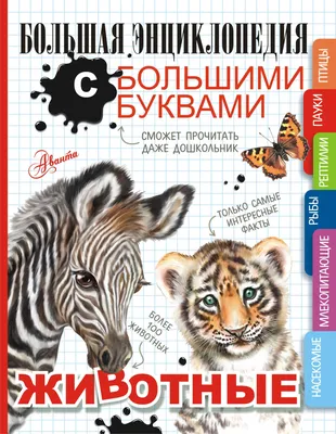 Энциклопедия с развивающими заданиями. Самые большие животные Ольга  Ермакова - купить книгу Энциклопедия с развивающими заданиями. Самые большие  животные в Минске — Издательство Умка на 