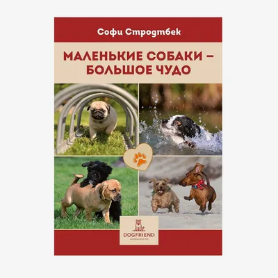 Софи Стродтбек. Маленькие собаки - большое чудо. Цветная книга,