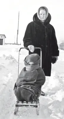 Санки зимние Flagman большие 88х54см. Описание, фото, отзывы, купить. |  Интернет-магазин «Flagman»