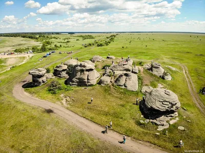 Новогодние елки в Израиле: где стоят самые большие и красивые