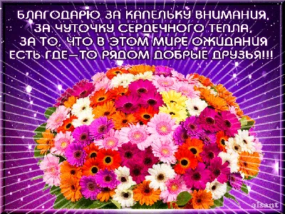 Знаете, если на благодарность ответить не "не за что", а "пожалуйста", то  на душе станет легче | Тудовлянин | Дзен