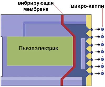 Крупноформатный принтер 6 футов/1,8 м, 1440 Dpi, принтер с  эко-растворителем высокого разрешения с одной печатной головкой XP600,  плоттер для печати | AliExpress