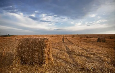 В Китае запущена интернет-линия со скоростью 1,2 терабита в секунду. Можно  скачать 150 фильмов высокого разрешения за одну секунду – K-News