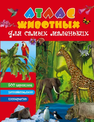 Большой атлас животных в картинках для малышей, Ю. И. Дорошенко – скачать  pdf на ЛитРес