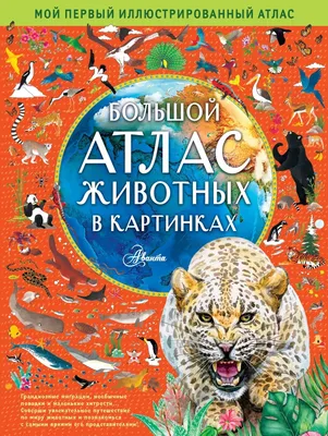 Характеристики модели Дорошенко Ю. И. "Большой атлас животных в картинках  для малышей" — Познавательная литература — Яндекс Маркет