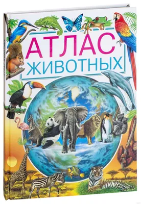 Атлас животных для малышей» купить в Чите Энциклопедии в интернет-магазине  Чита.дети (5207613)