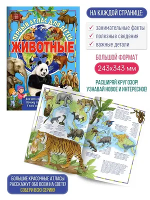 Атлас животных" - купить книгу в Минске