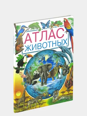 Детский атлас мира с наклейками. Животные — купить по низкой цене на Яндекс  Маркете