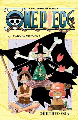 One Piece. Большой куш. Книга 13 – купить по выгодной цене |  Интернет-магазин комиксов 