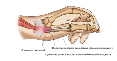 Массаж рук - Студия эстетики тела Марины Костровой