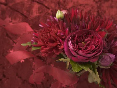 Бордовые цветы с красной лентой - обои на рабочий стол