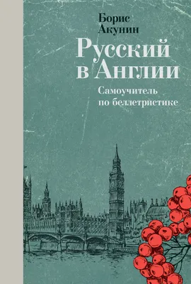 Борис Акунин "Приключения Эраста Фандорина" полное собрание 15 книг в  кожаном переплете купить. Улица книг