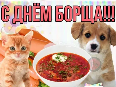 Вкус борща станет бомбическим, если закинуть в кастрюлю всего 3 ингредиента  - PrimaMedia