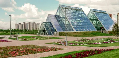 О Петербурге - Ботанический сад