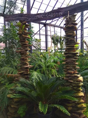 10 достопримечательностей петербургского Ботанического сада | Blog Fiesta