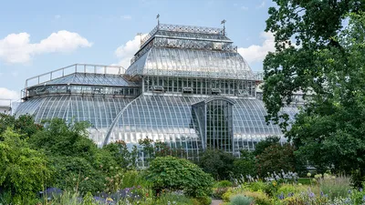 Пермский университет опроверг сообщения о ликвидации Ботанического сада |  «Новый компаньон»