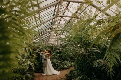 Свадебная фотосессия в оранжерее Ботанического сада. Свадебный фотограф и  семейный фотограф в Санкт-Петербурге Венера Ахмет