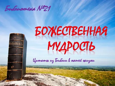 Свобода поведения человека (часть №1). | САМОВЕДАНИЕ | Дзен